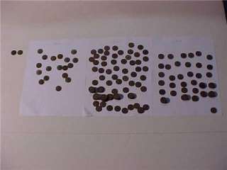 Cent Wheat Penny COIN LOT Pennies Coins Antique 1927 28 1930s 1940s 