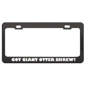 Got Giant Otter Shrew? Animals Pets Black Metal License Plate Frame 