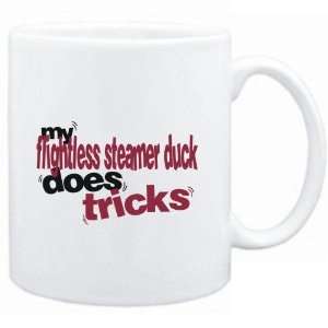   My Flightless Steamer Duck does tricks  Animals