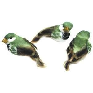   Accents Small Bird Green/White/Brown 1 Feather 3 pc