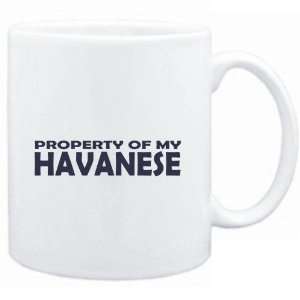  Mug White  PROPERTY OF MY Havanese EMBROIDERY  Dogs 