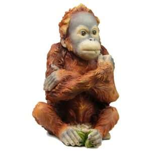 Baby Orangutan Sitting