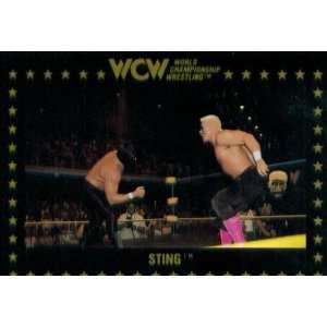    1991 WCW Collectible Wrestling Card #55  Sting