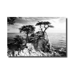Ocean Cliff I Giclee Print 