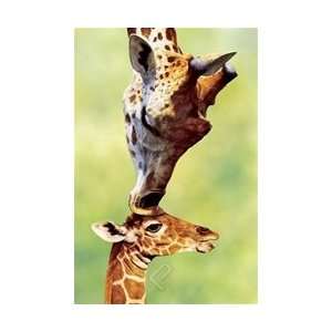  Giraffe Mom Poster