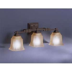   Tannery Bronze Finish Wall Mt 3 Light Incandescent