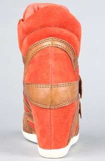 Ash Shoes The Bea Sneaker in Coral and Camel Suede  Karmaloop 
