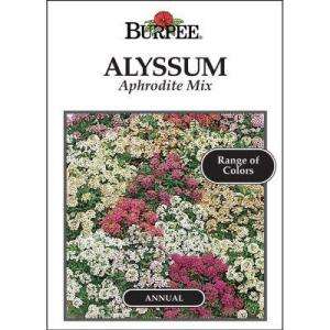 Burpee Alyssum Aphrodite Mix Seed 32442  