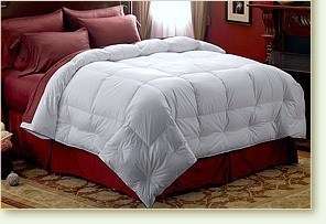 King Goose Down Comforter Duvet 750 Fill 100% Eqyptian Cotton 500 TC 