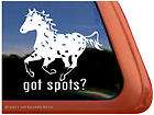 got spots leopard appaloosa horse trailer decal sticker one day