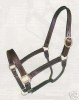 Pony, Standard Donkey~Adjustable Leather Stable Halter  