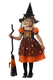 Pretty Pumpkin Witch Toddler Halloween Costume  