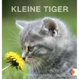 Kleine Tiger 2011. Postkartenkalendervon Heye