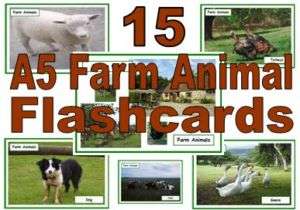 primary educational resource A5 FARM ANIMAL flashcards  