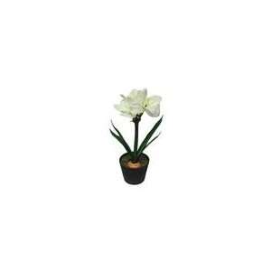   Amaryllis Battery Operated LED Lighted Potted Flower Pl Home