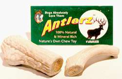 Small Antlerz Chew Natural Shed Deer Antler Long Last  