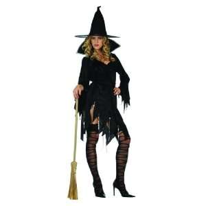  Adult Witchy Witch Costume Plus Size (16 18) Everything 