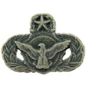  U.S. Air Force Master Force Protection Pin Pewter 7/8 