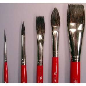   Nocturna Watercolor Artist Paint Brushes Arts, Crafts & Sewing