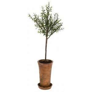  Potted Artificial Thyme Topiary Tree Herb Pot