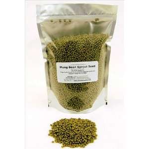 Mung Bean Sprouting Seed  Organic   2.5 Lbs  Dried Mung Beans for 