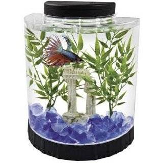   Products Fish Aquariums, Furniture & Décor Aquariums