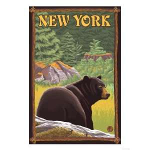  New York   Black Bear in Forest Giclee Poster Print