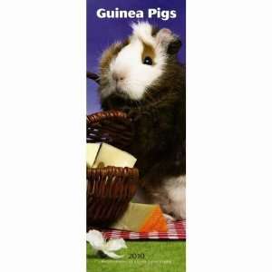  Guinea Pigs 2010 Slimline Wall Calendar
