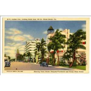  Reprint Collins Ave., looking north from 19th St., Miami 