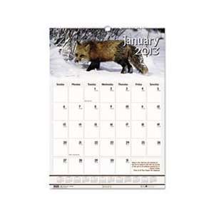   Scenes Monthly Wall Calendar, 15 1/2 x 22, 2012