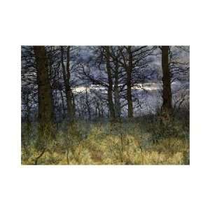  The Woods at Dusk by William fraser Garden. Size 15.97 