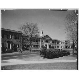  Photo C.W. Post College, Brookville, Long Island. John C 