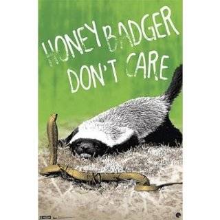 22x34) Honey Badger Dont Care Funny Poster Print