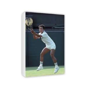  Michael Chang   Canvas   Medium   30x45cm