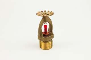 Globe Rough Brass Pendant Fire Sprinkler head 565115501  
