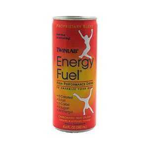  TwinLab Energy Fuel High Performance Drink Health 
