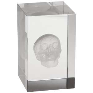 3B Scientific MAA20G Medart Glass Block Skull Model, 2 Length x 2 