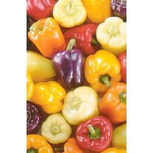   Pepper 50 Seeds Red,Gold,Purple,Orange,White Patio, Lawn & Garden