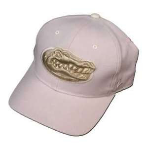   Florida Gators DHS Stone Gator Head Fitted Hat