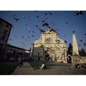 Pigeons in Flight in the Piazza Santa Maria Novella, Florence, Tuscany 
