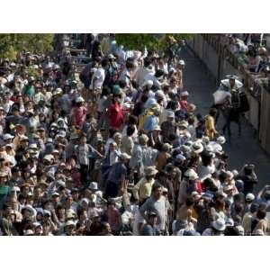  Horse Jumping Festival, Tado Town, Mie Prefecture, Kansai 