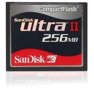    SanDisk 256MB Ultra II CompactFlash Memory Card Electronics