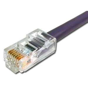    2FT Assembled CAT6 Network Patch Cable   Purple Electronics