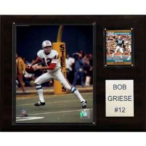  NFL Bob Griese Miami Dolphins Player Plaque