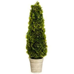 Artificial Outdoor Indoor Potted 2 foot 3 inch Boxwood Spiral Topiary 