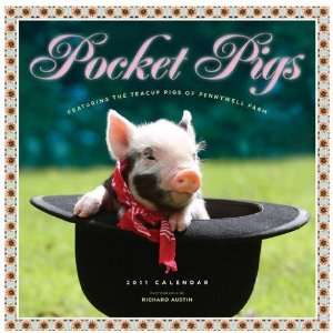  Pocket Pigs of Pennywell Farm Wall Calendar 2011 Office 