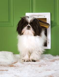 PetSafe Small Extreme Weather Dog Door PPA00 10984  