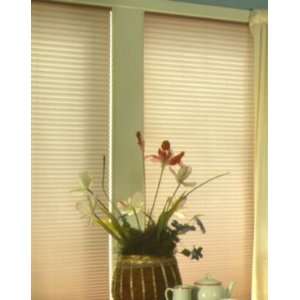   Shades   Basic Sheer w/Blackout Liner   Liner Pleated Shades Home