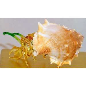  Crab, Art Glass Hermit Crab in natural Shell colored, mid 