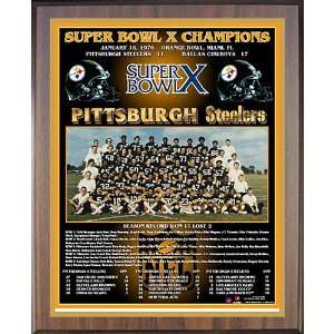  Healy Pittsburgh Steelers Super Bowl X Champions Team 